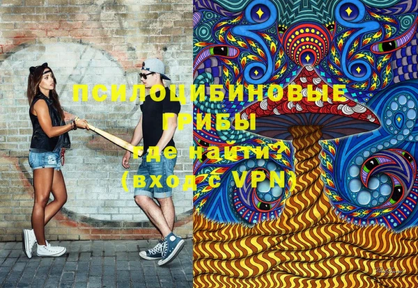 соль ск Абаза